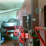 Frantoio sappracone (1)