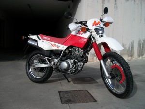 moto registro storico 2 031